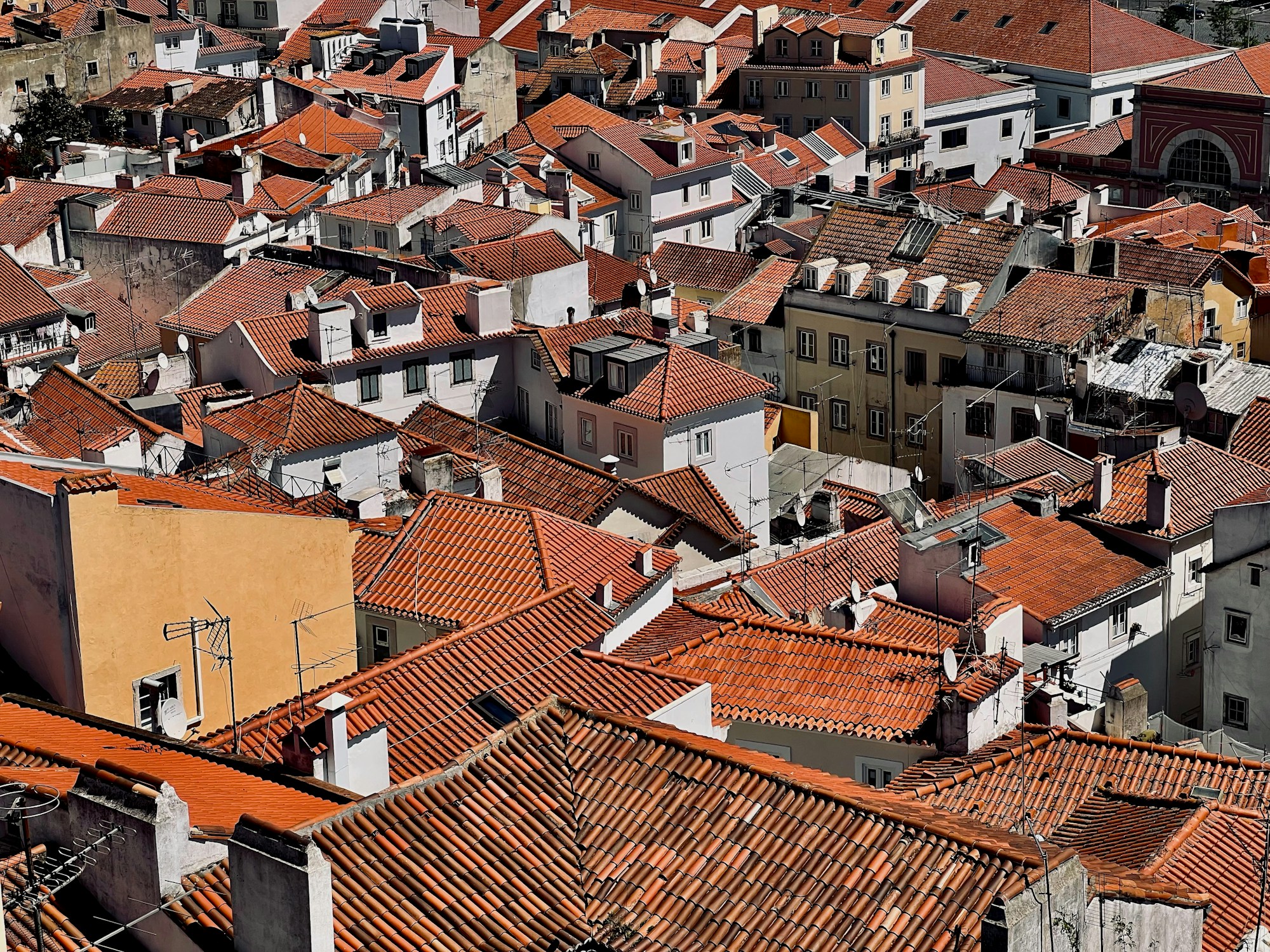 Terrakottafarbene Dächer in Lissabon